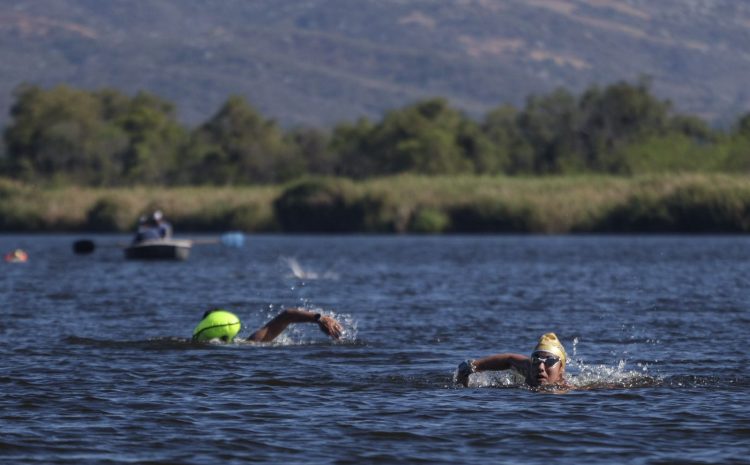 WhatsApp Image 2025-11-24 at 16.09.37 (6)