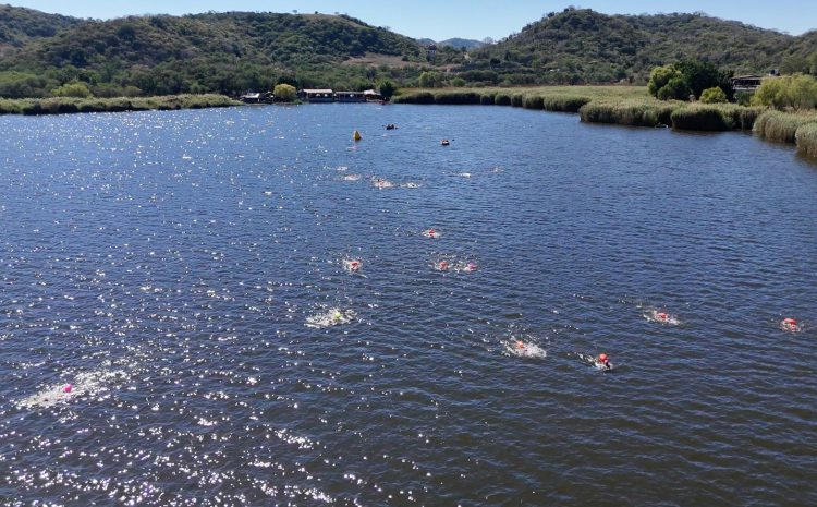 WhatsApp Image 2025-11-24 at 16.09.37